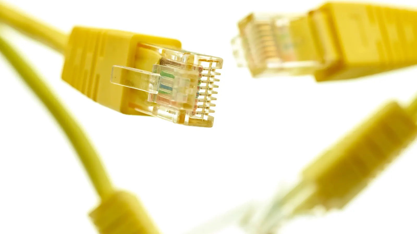 Two yellow network cables with connectors