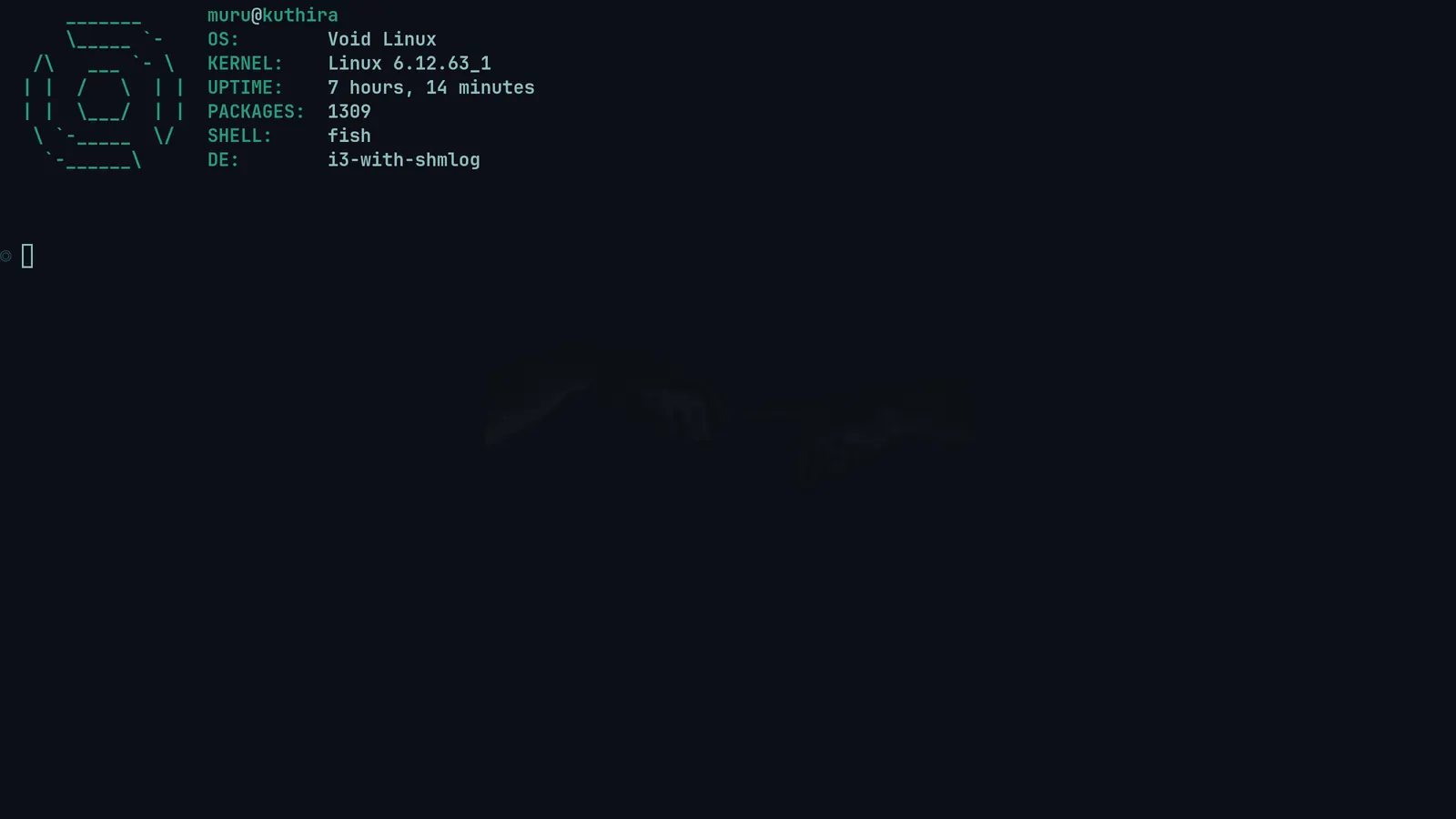 Linux terminal showing system information