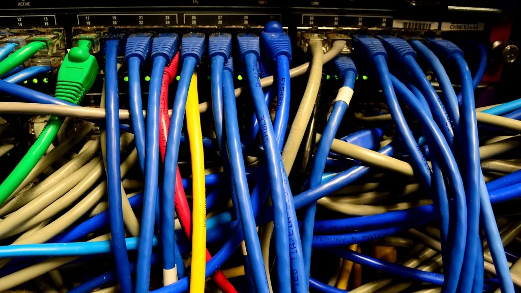 Blue network cables connected to a server switch