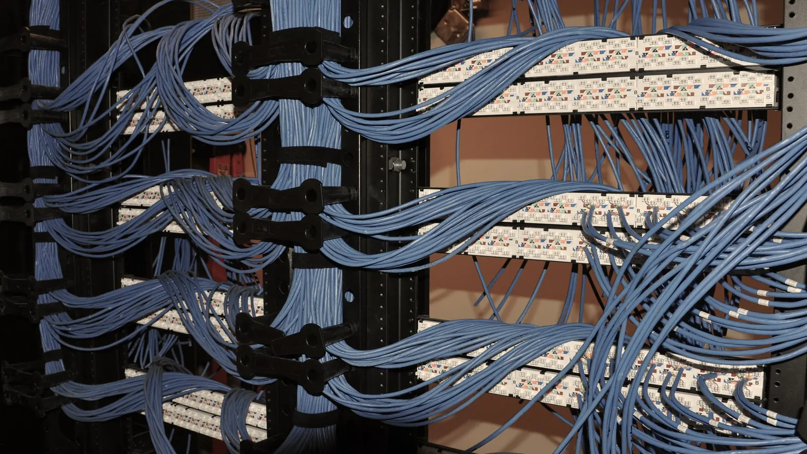 Neatly bundled network cables in a server rack