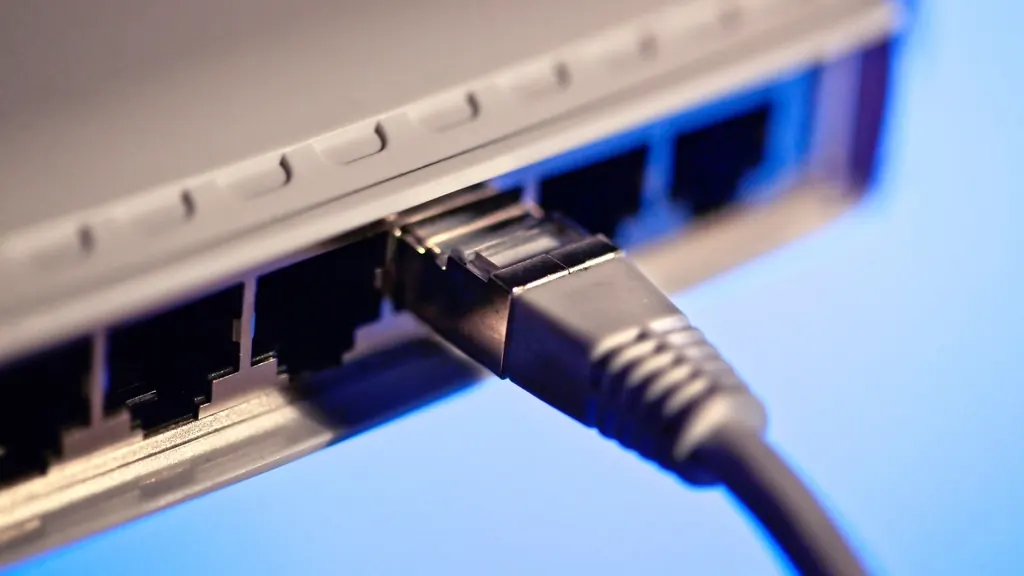 Network cable plugged into a router port